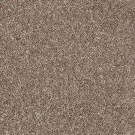 Shaw Floors Value Collections Briceville Classic 12' Net River Slate