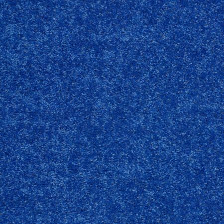 Shaw Floors Value Collections Briceville Classic 12' Net Cobalt