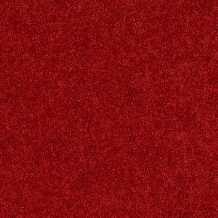 Shaw Floors Value Collections Briceville Classic 12' Net Real Red