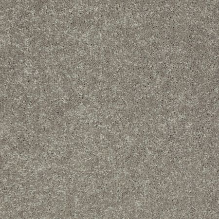 Shaw Floors Value Collections Newbern Classic 12' Net Pebble Path