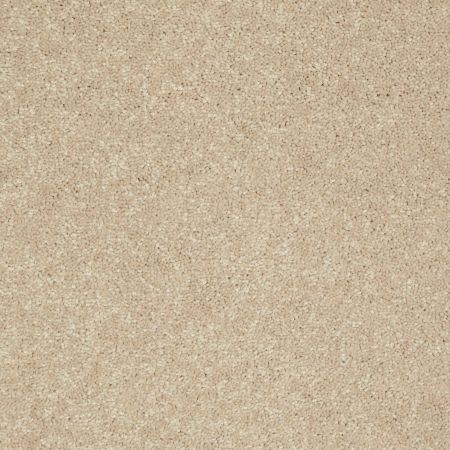 Shaw Floors Value Collections Newbern Classic 12' Net Casual Cream