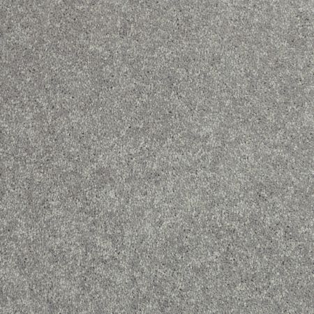 Shaw Floors Value Collections Newbern Classic 12' Net Haze