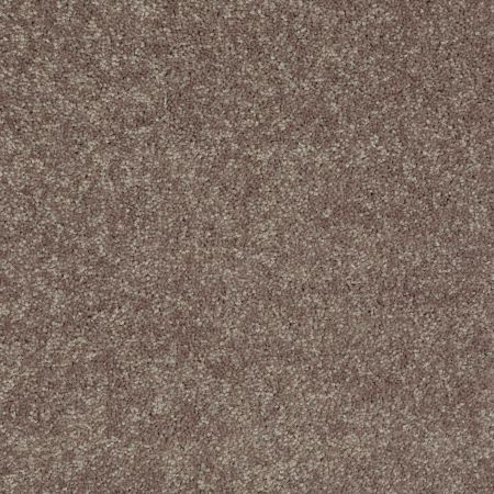 Shaw Floors Value Collections Newbern Classic 12' Net Suede