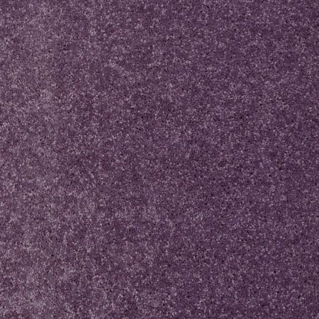 Shaw Floors Value Collections Newbern Classic 12' Net Violet Crush