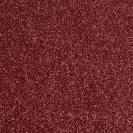 Shaw Floors Value Collections Newbern Classic 12' Net Radiant Orchid