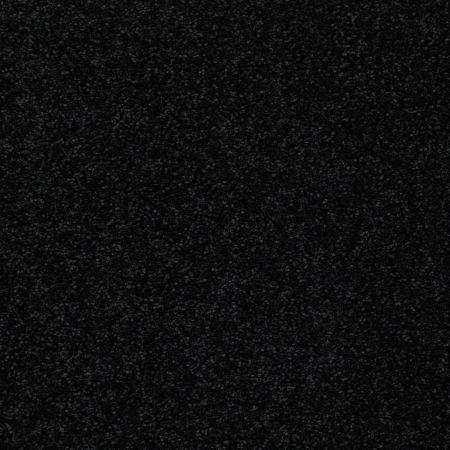 Shaw Floors Value Collections Newbern Classic 12' Net Coal Black