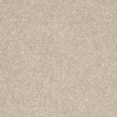 Shaw Floors Value Collections Newbern Classic 12' Net Dove