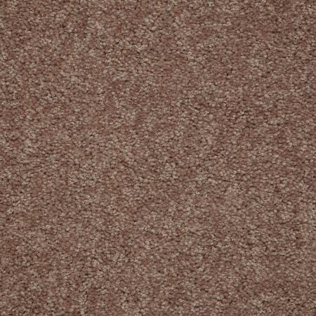 Shaw Floors Value Collections Newbern Classic 12' Net Candied Truffle