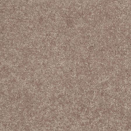 Shaw Floors Value Collections Newbern Classic 12' Net Taupe Mist