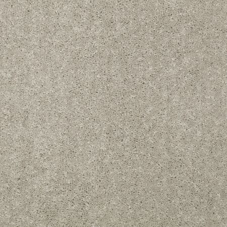 Shaw Floors Value Collections Newbern Classic 15' Net Antique Silk