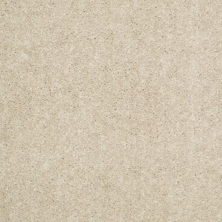 Shaw Floors Value Collections Newbern Classic 15' Net Casual Cream
