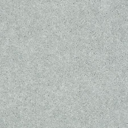 Shaw Floors Value Collections Newbern Classic 15' Net Morning Fog