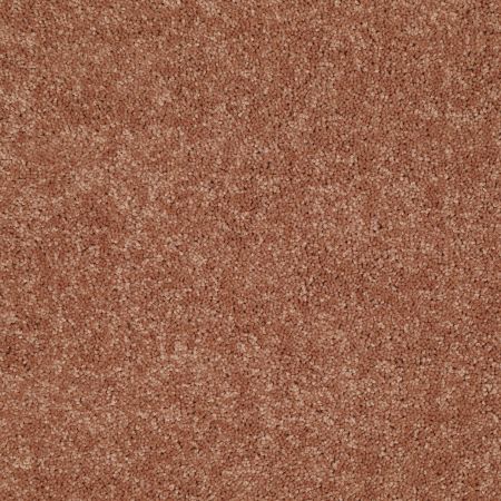 Shaw Floors Value Collections Newbern Classic 15' Net Sunburst