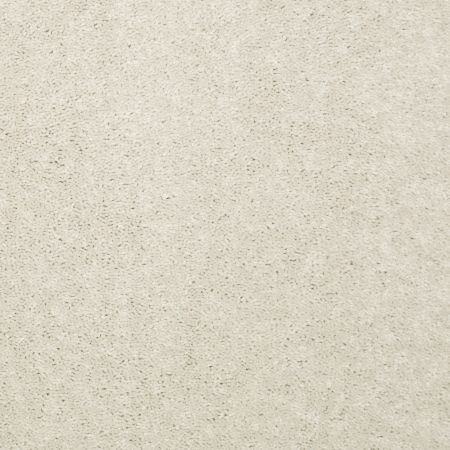 Shaw Floors Value Collections Newbern Classic 15' Net Ivory Tint