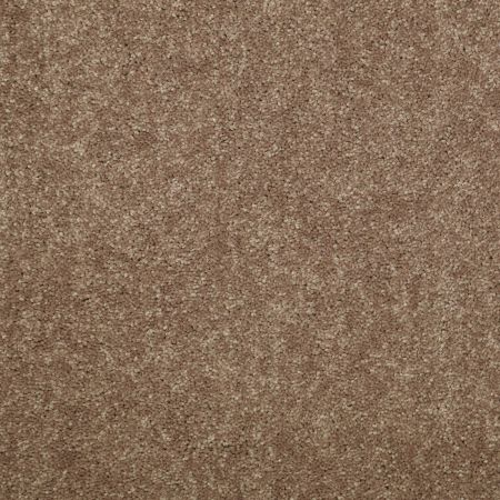 Shaw Floors Value Collections Newbern Classic 15' Net Candied Truffle