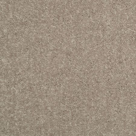 Shaw Floors Value Collections Newbern Classic 15' Net Taupe Mist