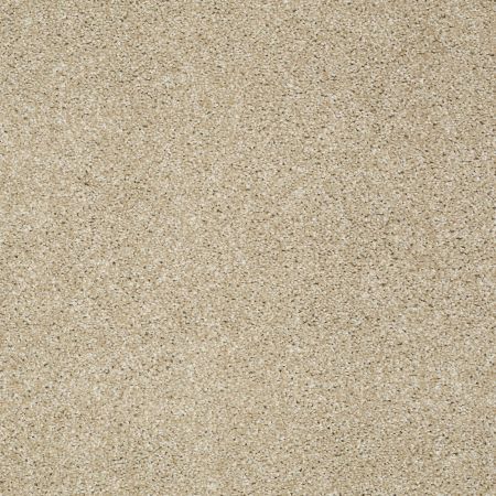 Shaw Floors Value Collections Picturesque Net Field Stone