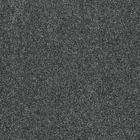 Shaw Floors Value Collections Picturesque Net Cape Verde