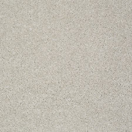 Shaw Floors Value Collections Picturesque Net Cold Water