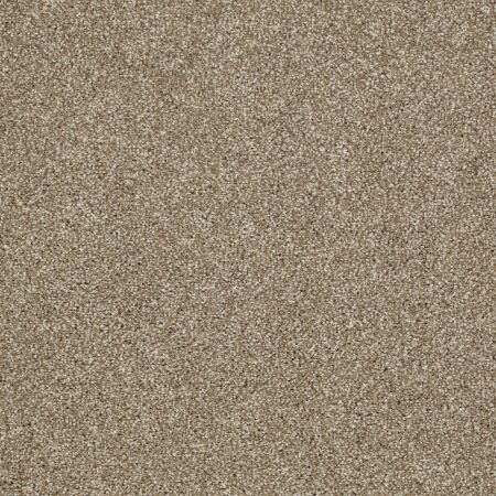 Shaw Floors Value Collections Picturesque Net Prairie