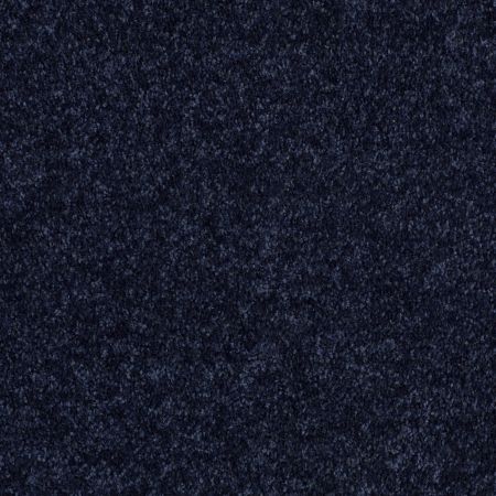 Shaw Floors Value Collections Fielder's Choice 12 Net Evening Sky