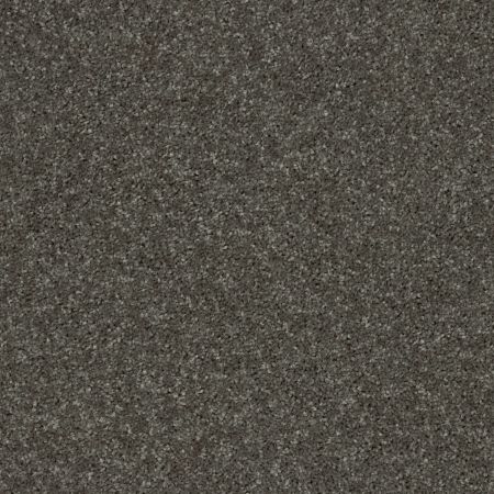 Shaw Floors Value Collections Fielder's Choice 12 Net Barn Beam