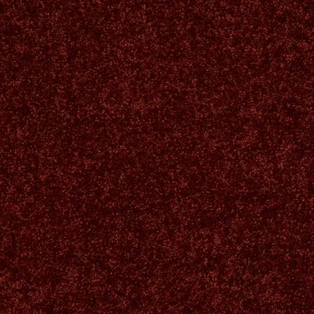 Shaw Floors Value Collections Fielder's Choice 12 Net Red Rock