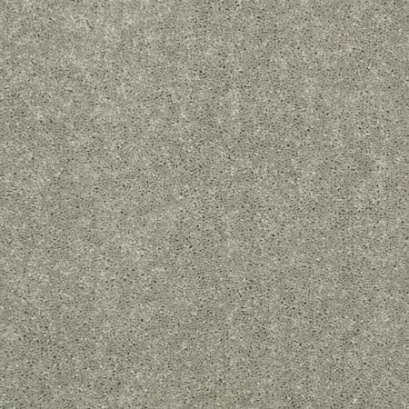 Shaw Floors Value Collections Dyersburg Classic 12 Net Pebble Path