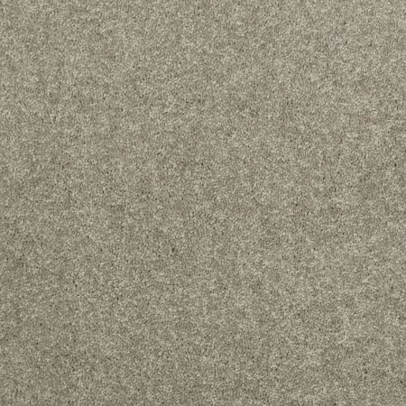 Shaw Floors Value Collections Dyersburg Classic 12 Net Suede