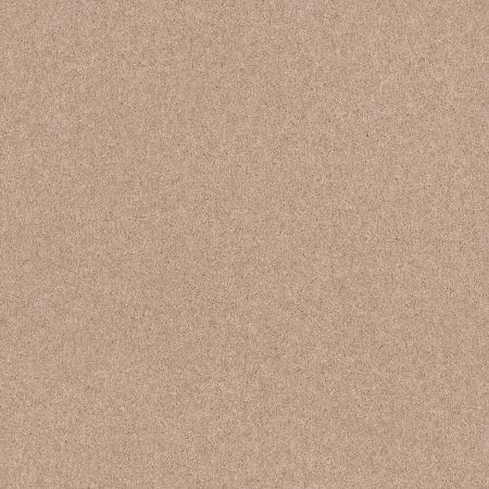 Shaw Floors Value Collections Dyersburg Classic 12 Net Cashmere