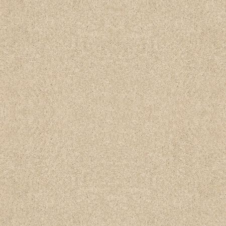Shaw Floors Value Collections Dyersburg Classic 12 Net Vanilla Custard