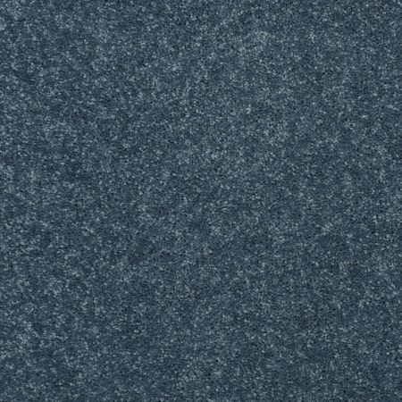 Shaw Floors Value Collections Dyersburg Classic 12 Net Colonial