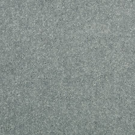 Shaw Floors Value Collections Dyersburg Classic 12 Net Castle Grey