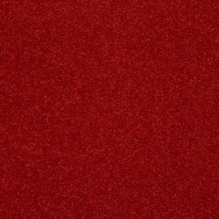 Shaw Floors Value Collections Dyersburg Classic 12 Net Real Red