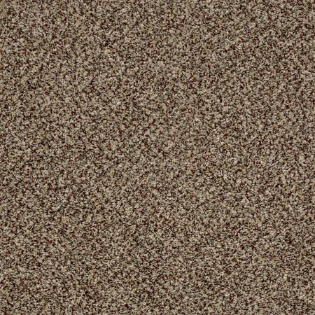 Shaw Floors Simply The Best Because We Can II 15 Worn Path