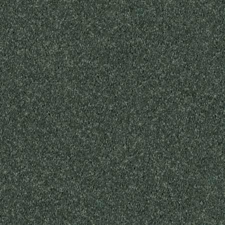 Shaw Floors Value Collections Full Court 15' Net Going Green