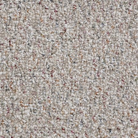 Shaw Floors Value Collections Pure Waters 12' Net Tweed