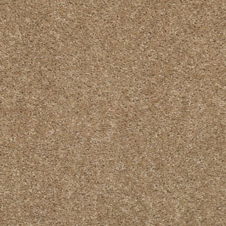 Shaw Floors Value Collections Big Eventplusnet Scalloped Shell