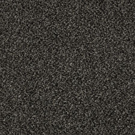 Shaw Floors Simply The Best Because We Can III 15' Iron Age