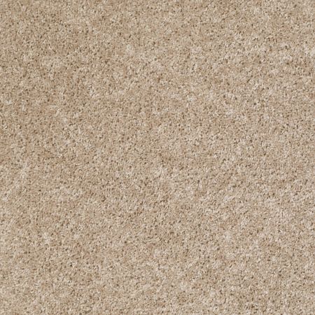 Shaw Floors Commercial Hardwood Vitalize (s) Net Stucco