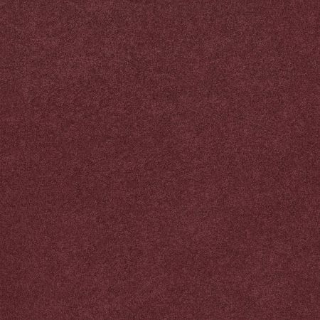 Shaw Floors Origins II Monte Carlo