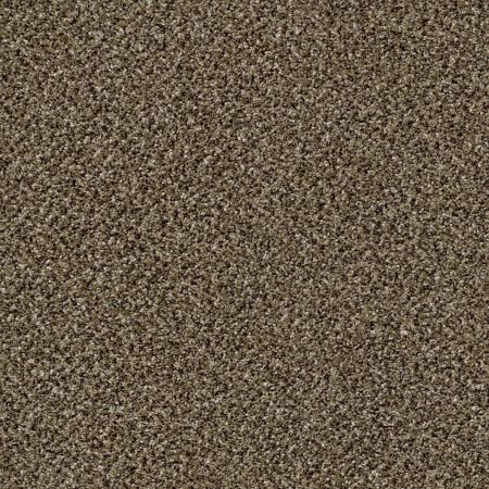 Shaw Floors Value Collections Because We Can I 12' Net Pinecone