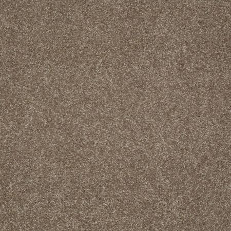 Shaw Floors Value Collections Gold Texture Net Iced Coffee