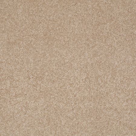 Shaw Floors Value Collections Platinum Texture 12' Net Townhouse Taupe