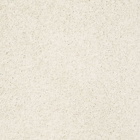 Shaw Floors Value Collections Gold Twist Net Fine China