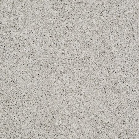 Shaw Floors Value Collections Gold Twist Net Waikiki Sand