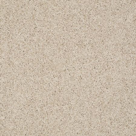 Shaw Floors Value Collections Gold Twist Net Natural Wood