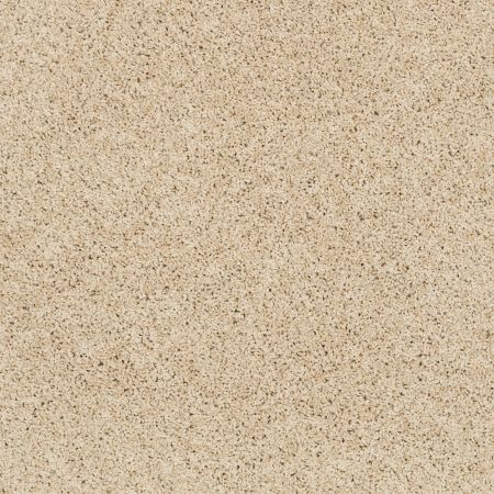 Shaw Floors Value Collections Platinum Twist Net Chenille Soft