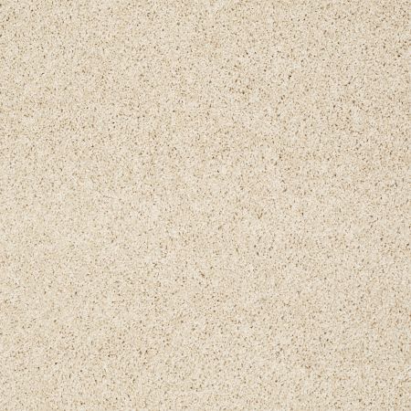 Shaw Floors Value Collections Platinum Twist Net Parchment