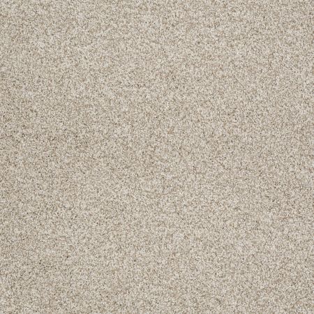 Shaw Floors Value Collections Platinum Texture Tonal Net Anchorage Texture